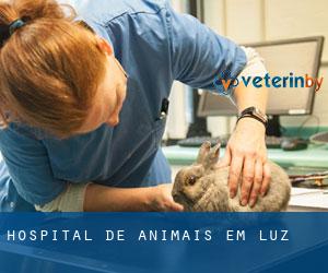 Hospital de animais em Luz