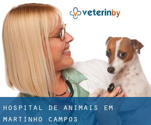 Hospital de animais em Martinho Campos