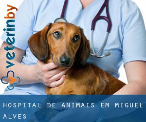 Hospital de animais em Miguel Alves