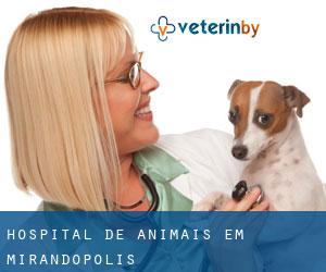 Hospital de animais em Mirandopólis