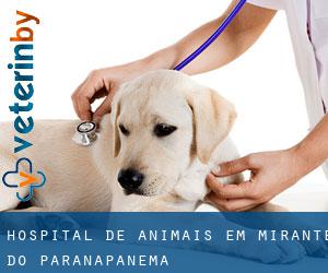 Hospital de animais em Mirante do Paranapanema