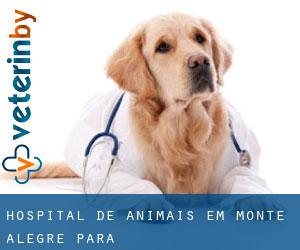 Hospital de animais em Monte Alegre (Pará)