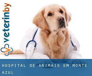 Hospital de animais em Monte Azul