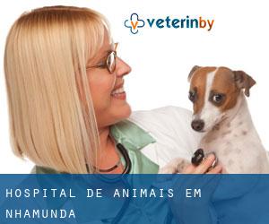 Hospital de animais em Nhamundá