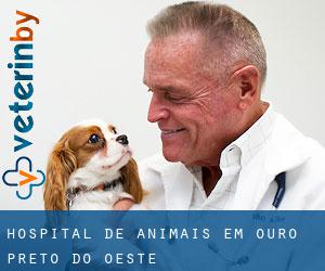 Hospital de animais em Ouro Preto do Oeste