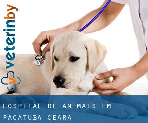 Hospital de animais em Pacatuba (Ceará)