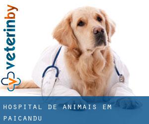 Hospital de animais em Paiçandu