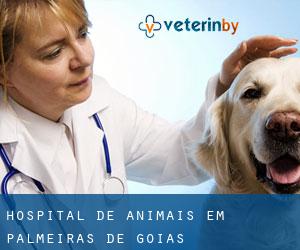 Hospital de animais em Palmeiras de Goiás