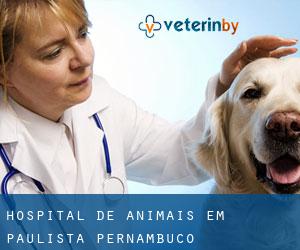 Hospital de animais em Paulista (Pernambuco)