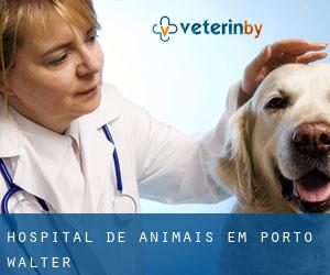 Hospital de animais em Porto Walter