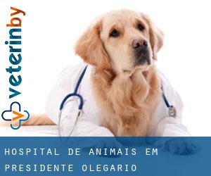 Hospital de animais em Presidente Olegário