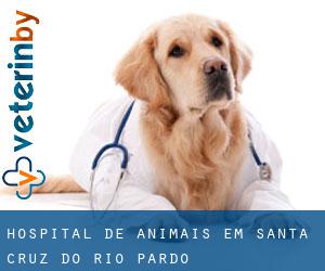 Hospital de animais em Santa Cruz do Rio Pardo