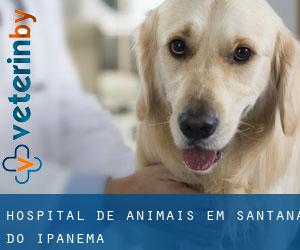 Hospital de animais em Santana do Ipanema