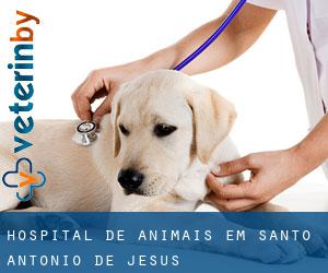 Hospital de animais em Santo Antônio de Jesus