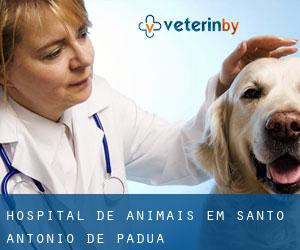 Hospital de animais em Santo Antônio de Pádua