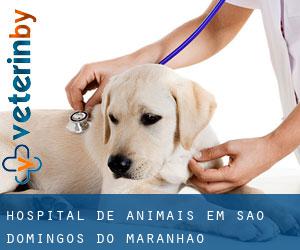 Hospital de animais em São Domingos do Maranhão