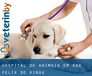 Hospital de animais em São Félix do Xingu