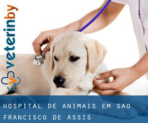 Hospital de animais em São Francisco de Assis