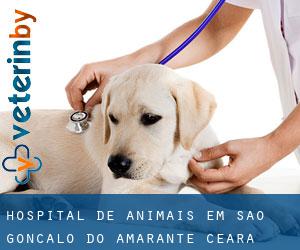 Hospital de animais em São Gonçalo do Amarante (Ceará)