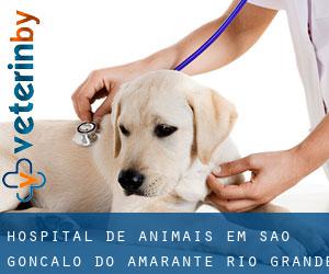 Hospital de animais em São Gonçalo do Amarante (Rio Grande do Norte)