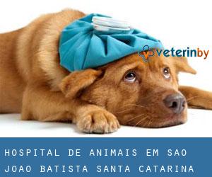 Hospital de animais em São João Batista (Santa Catarina)