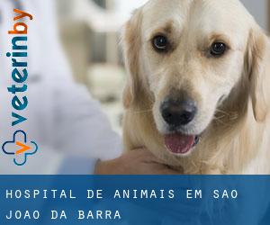 Hospital de animais em São João da Barra