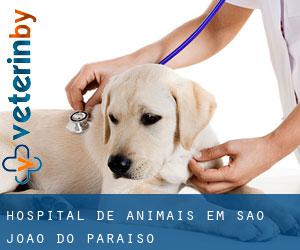 Hospital de animais em São João do Paraíso