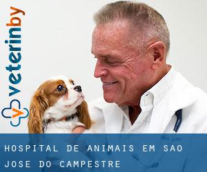Hospital de animais em São José do Campestre