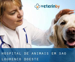 Hospital de animais em São Lourenço dOeste