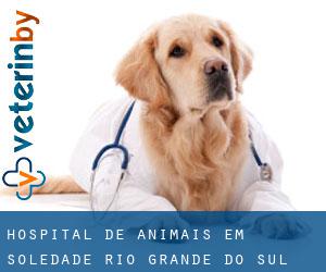 Hospital de animais em Soledade (Rio Grande do Sul)