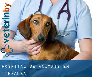 Hospital de animais em Timbaúba