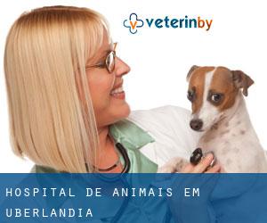 Hospital de animais em Uberlândia