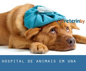 Hospital de animais em Una