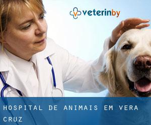 Hospital de animais em Vera Cruz