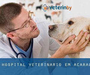 Hospital veterinário em Acaraú