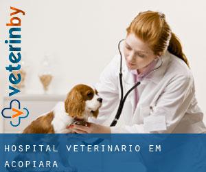 Hospital veterinário em Acopiara