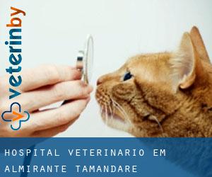 Hospital veterinário em Almirante Tamandaré