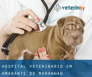 Hospital veterinário em Amarante do Maranhão