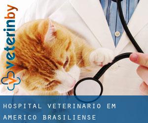 Hospital veterinário em Américo Brasiliense