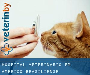 Hospital veterinário em Américo Brasiliense