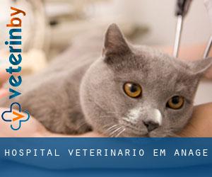 Hospital veterinário em Anagé