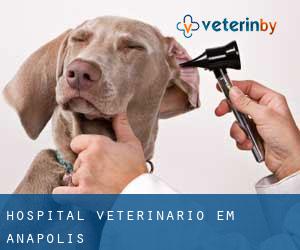 Hospital veterinário em Anápolis