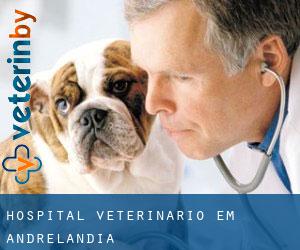 Hospital veterinário em Andrelândia