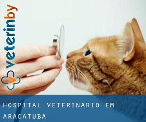 Hospital veterinário em Araçatuba