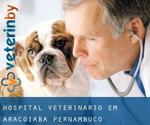 Hospital veterinário em Araçoiaba (Pernambuco)