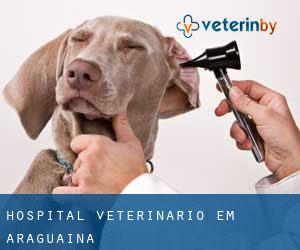Hospital veterinário em Araguaína