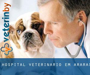 Hospital veterinário em Araras