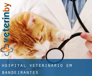 Hospital veterinário em Bandeirantes