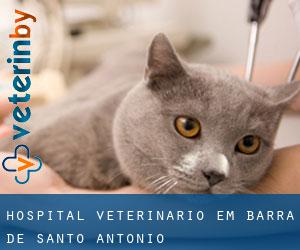 Hospital veterinário em Barra de Santo Antônio