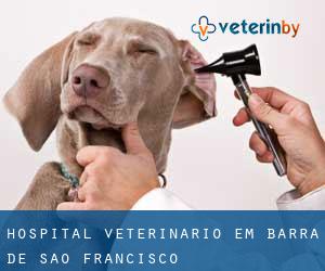 Hospital veterinário em Barra de São Francisco